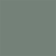 Saftey green