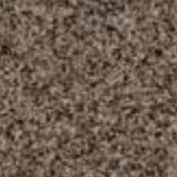 Sahara