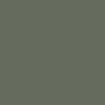 Sealer Color 4