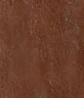 stain_color_02