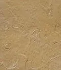 stain_color_03