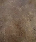 stain_color_05