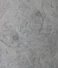 stain_color_12