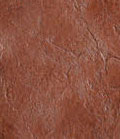 stain_color_13