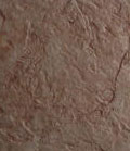 stain_color_14