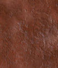 stain_color_16