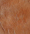 stain_color_17