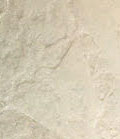stain_color_20