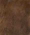 stain_color_22