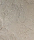 stain_color_24